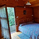 Séjour à la campagne Casa Canarina Santa Úrsula