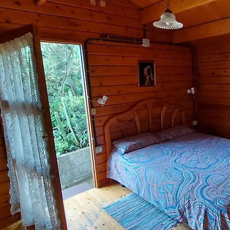 Casa di campagna Casa Canarina Santa Úrsula